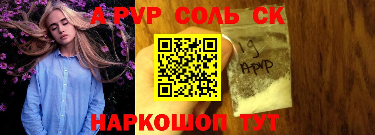 Alfa_PVP СК Киселёвск